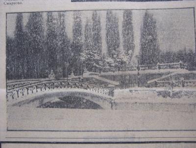 Прикрепленное изображение: IMG_3357.JPG